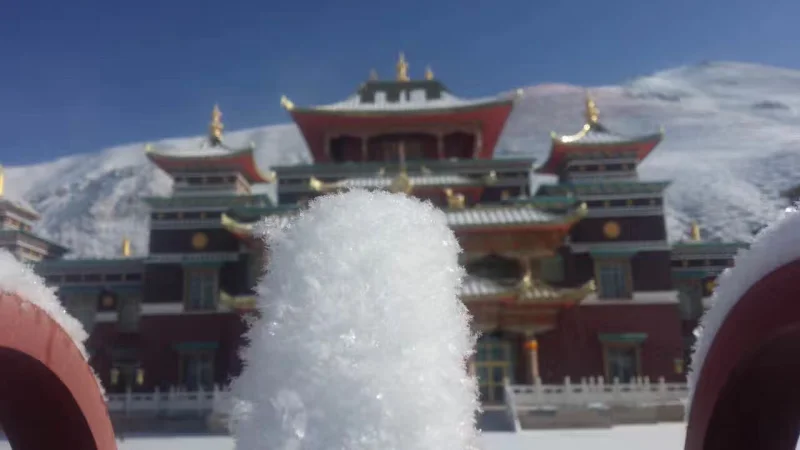 1543494715302699.png?x-oss-process=style/resize