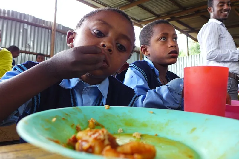 1492655972361431.jpg?x-oss-process=style/resize 3.jpg?x-oss-process=style/resize