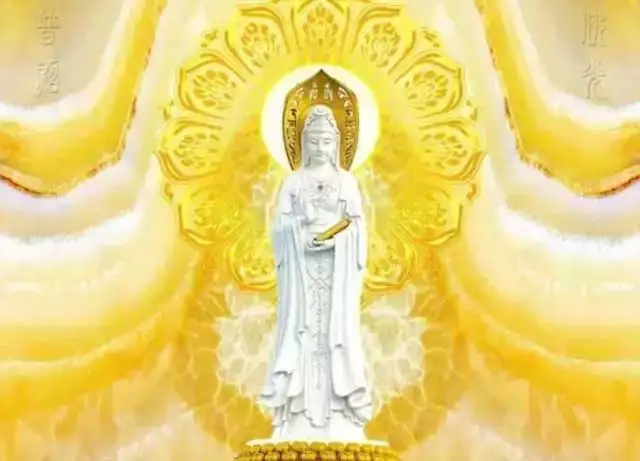 cb784201802141729236246.jpg?x-oss-process=style/resize