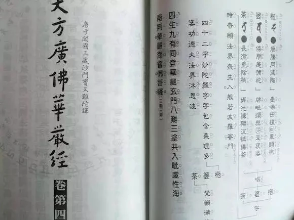 1492660091341778.jpg?x-oss-process=style/resize H6.webp.jpg?x-oss-process=style/resize