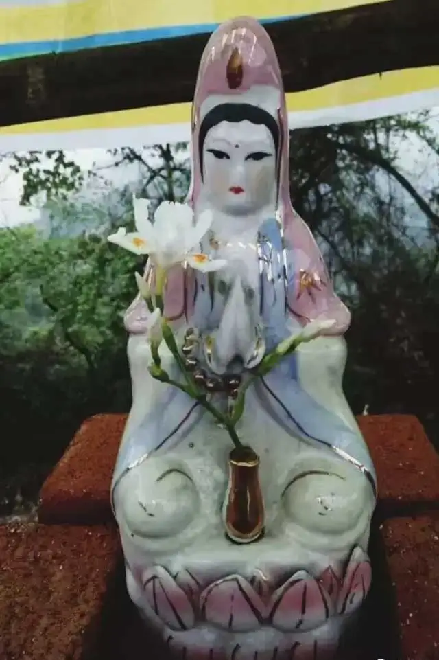 da255201802141722059814.jpg?x-oss-process=style/resize