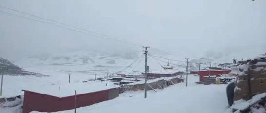 1543494951802810.png?x-oss-process=style/resize 图片10.png?x-oss-process=style/resize